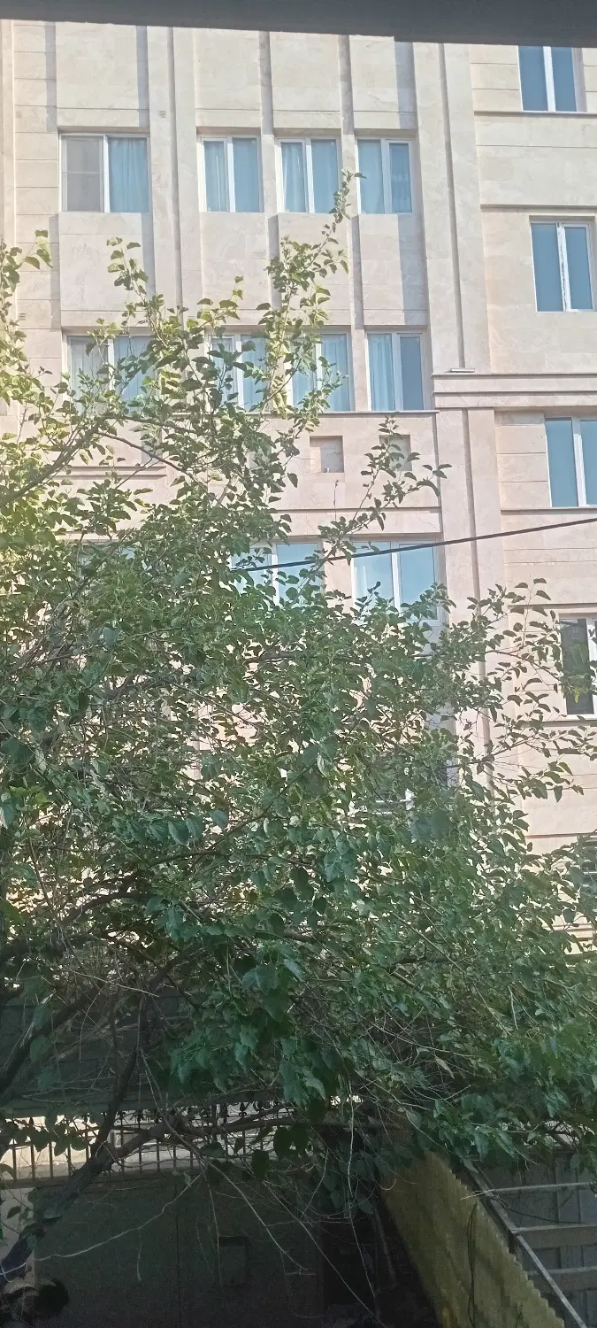 ۱۲۰ متر خوش نقشه نور عالی