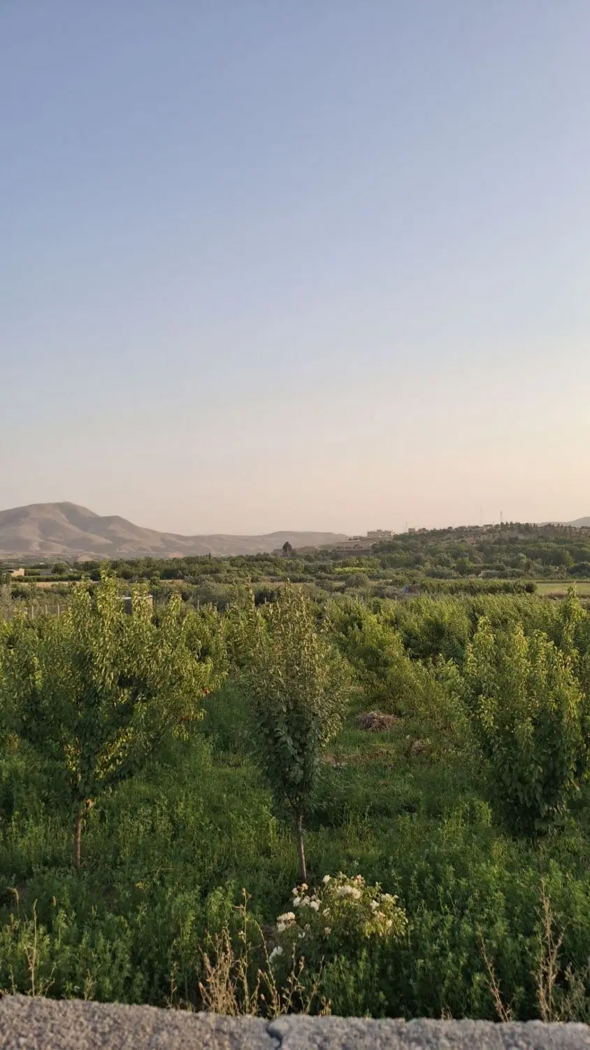 باغ فروشی