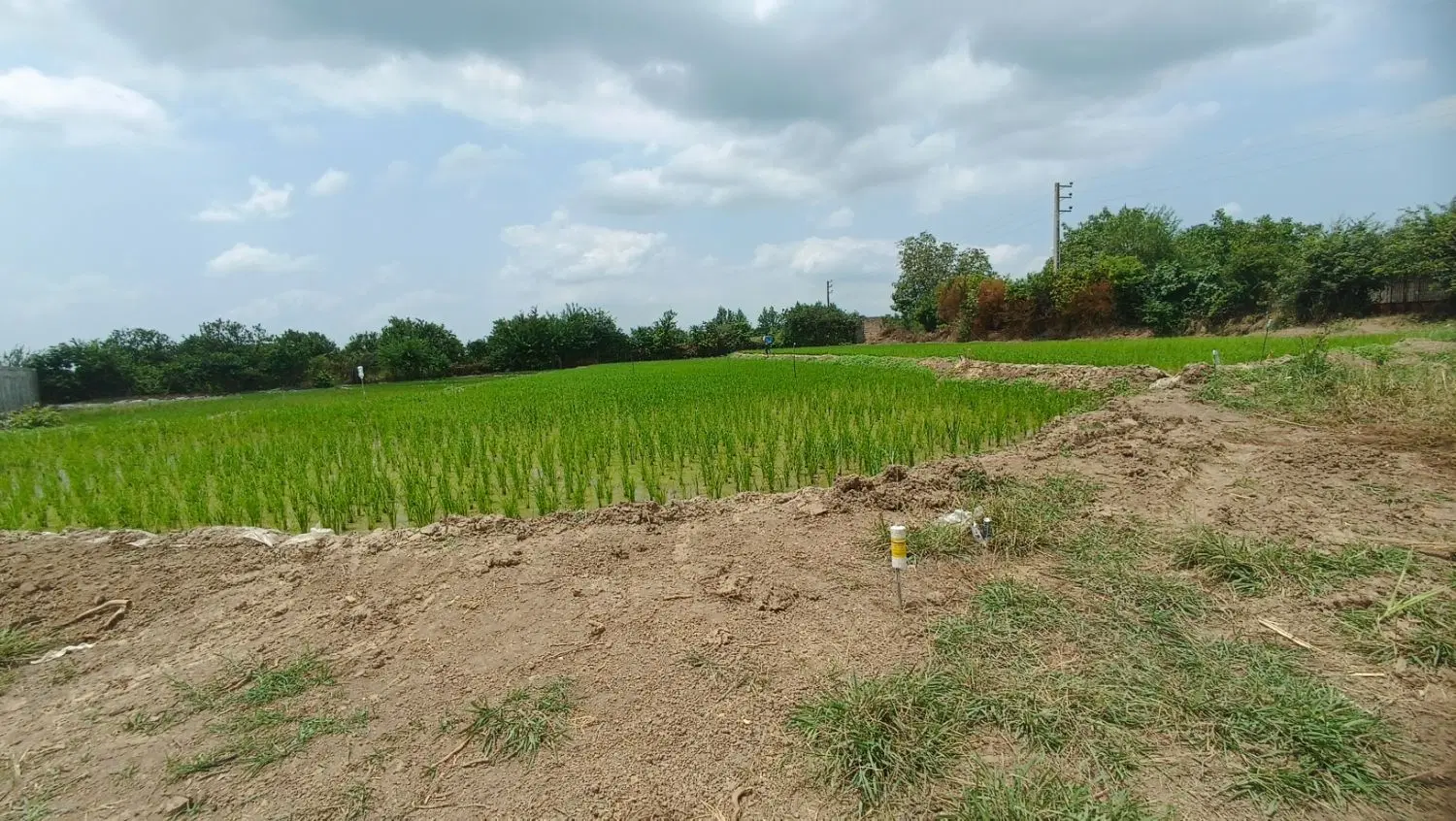 زمین ۱۴۰ متری با قیمت استثنایی در روستای سنگریزه
