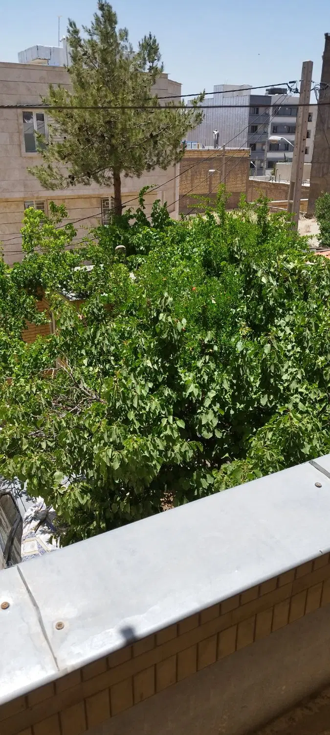 پکیج سه واحدی فاز یک صدرا