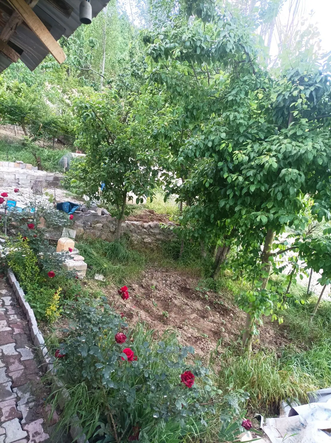 خانه ویلایی زیارت