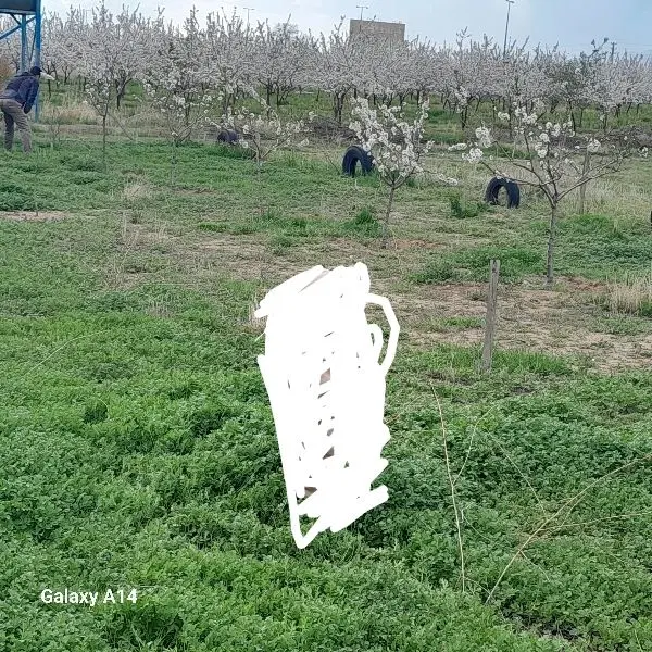 زمین هفت سنگان شمالی قزوین