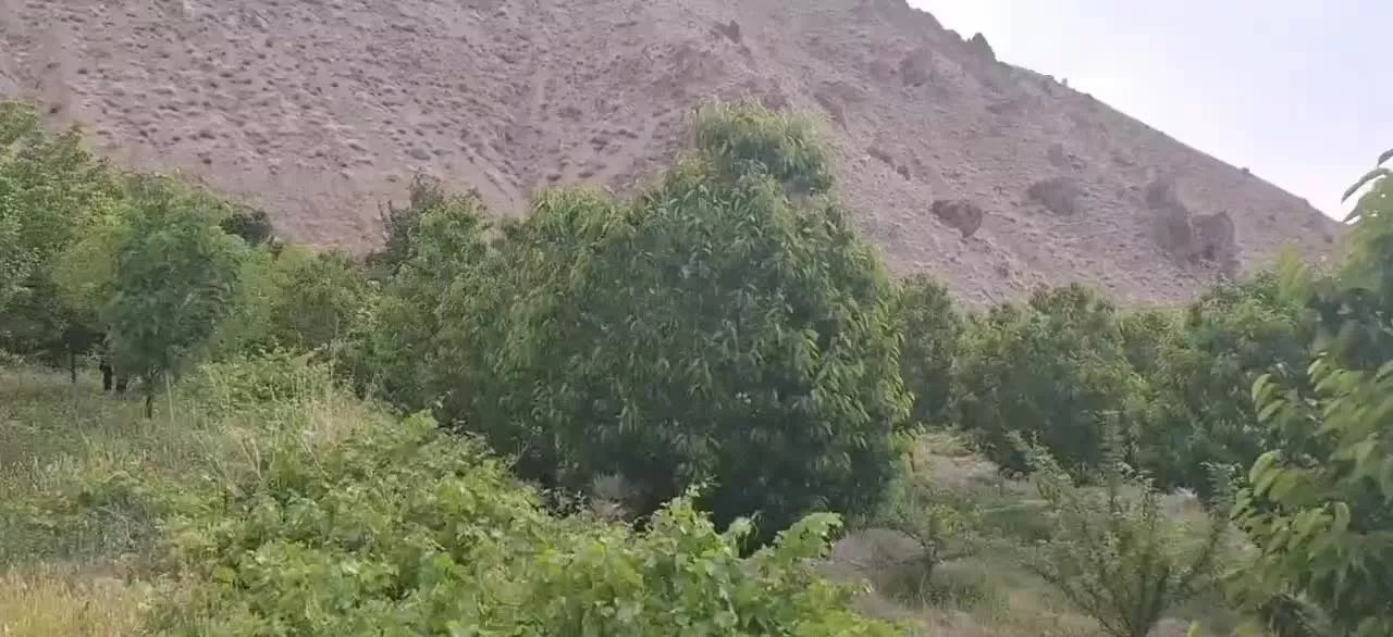 دهکده اختصاصی اقتصادی(فرصت ویژه سرمایه گذاری)
