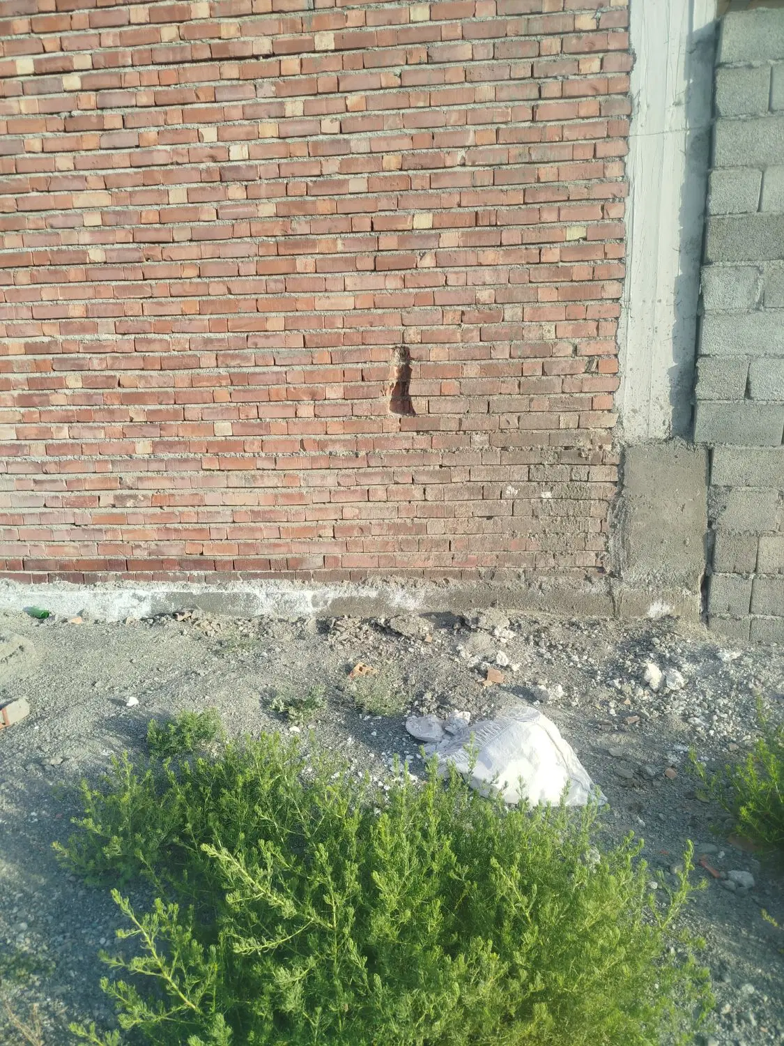 زمین خالی