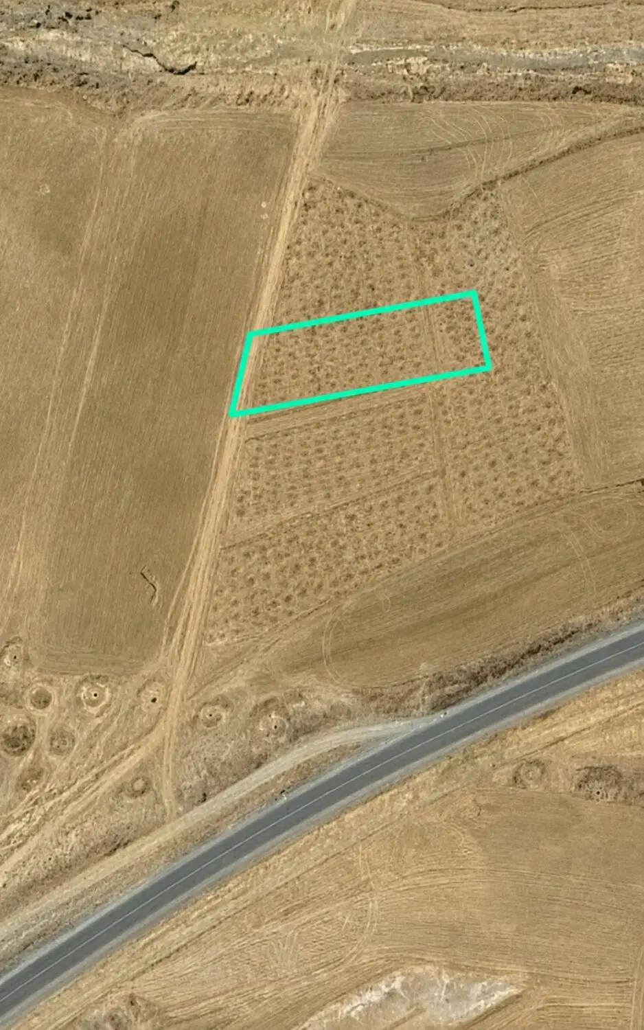 زمین کشاورزی