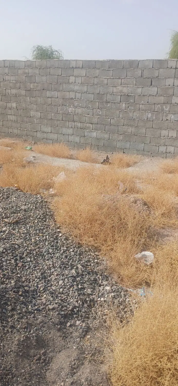 زمین مسکونی رودبار