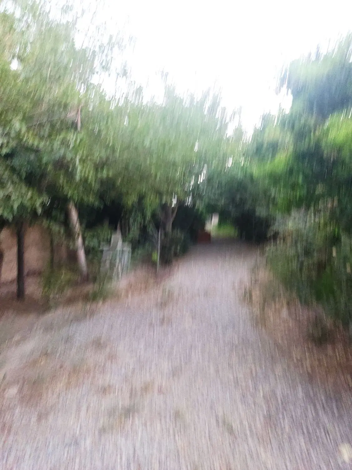 باغچه