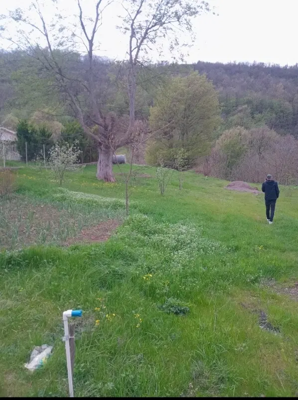 زمین مسکونی روستای ییلاقی و توریستی رحمت اباد