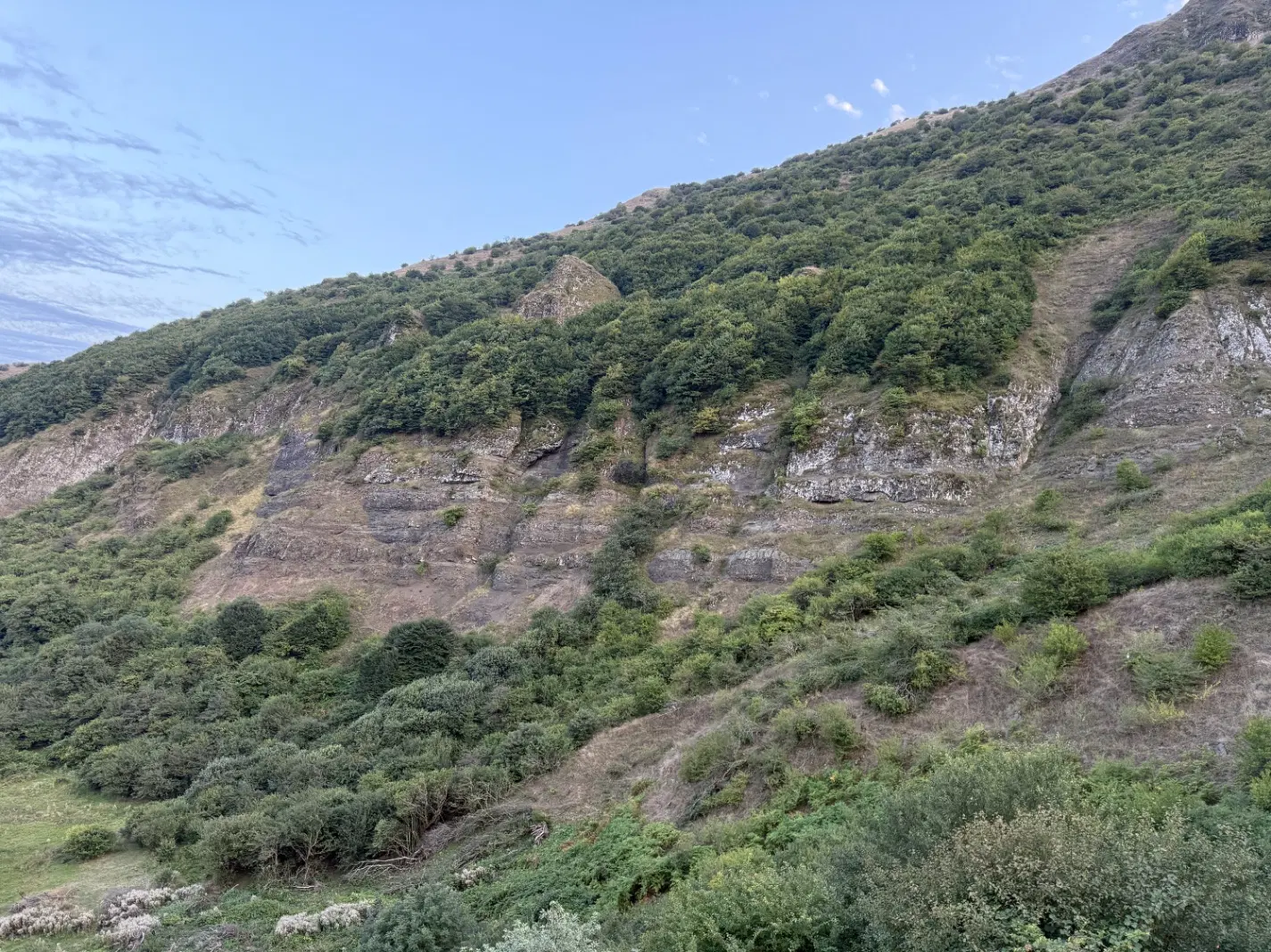 فروش باغچه باجگاه