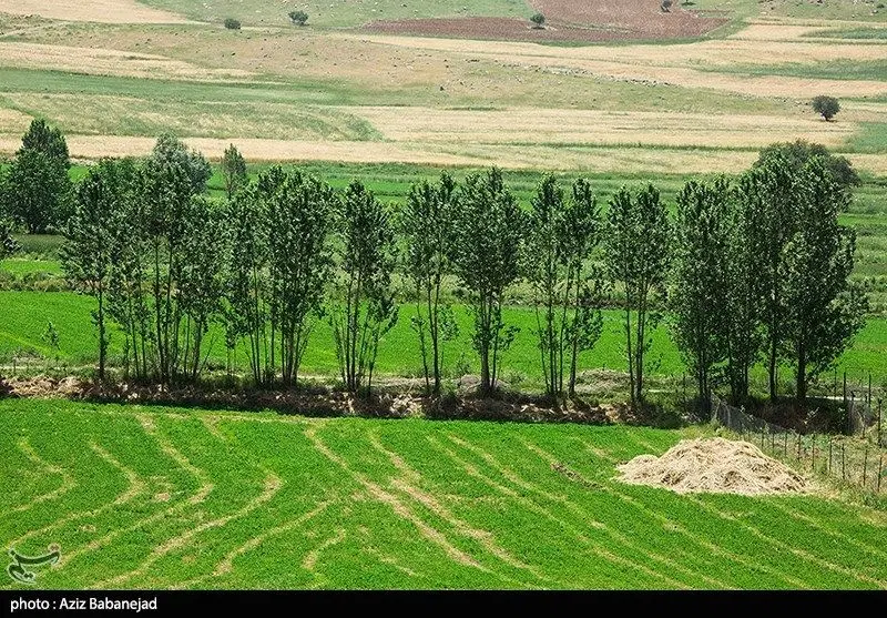 اجاره زمین