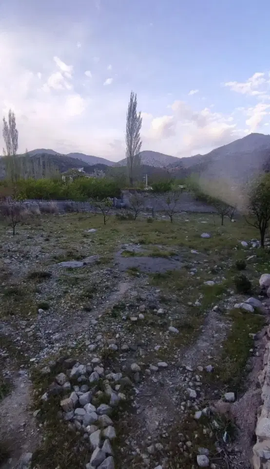 دلفارد بنستان سنگفرش(تکبرگ)