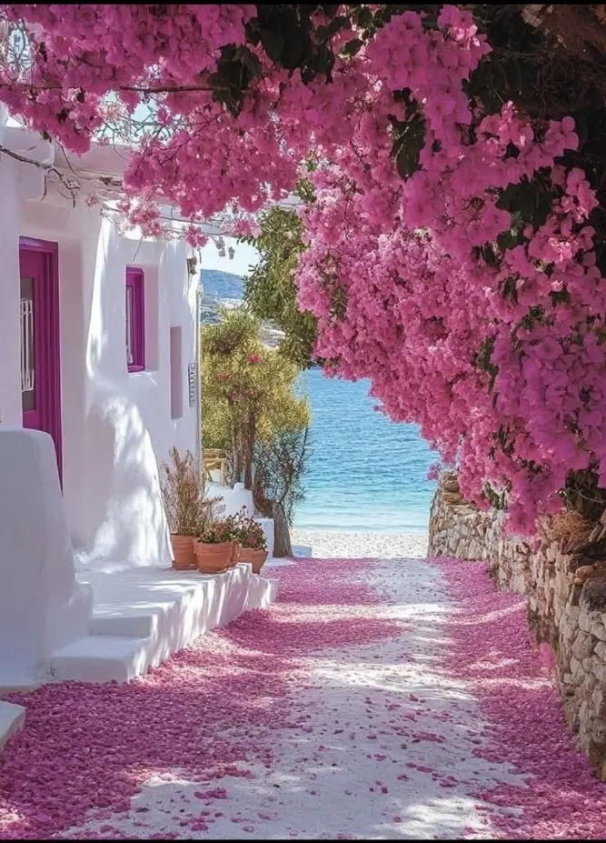 باغچه، باغ، زمین،ویلا