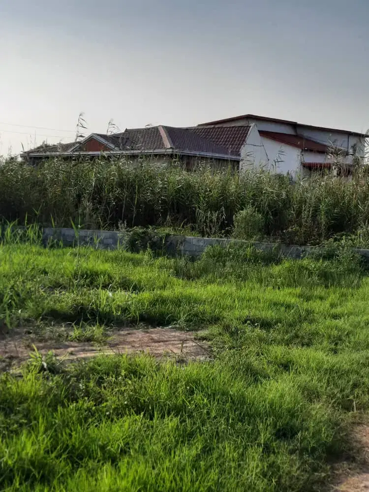 ۳۸۰ متر زمین  محمودآباد سیاهرودسر