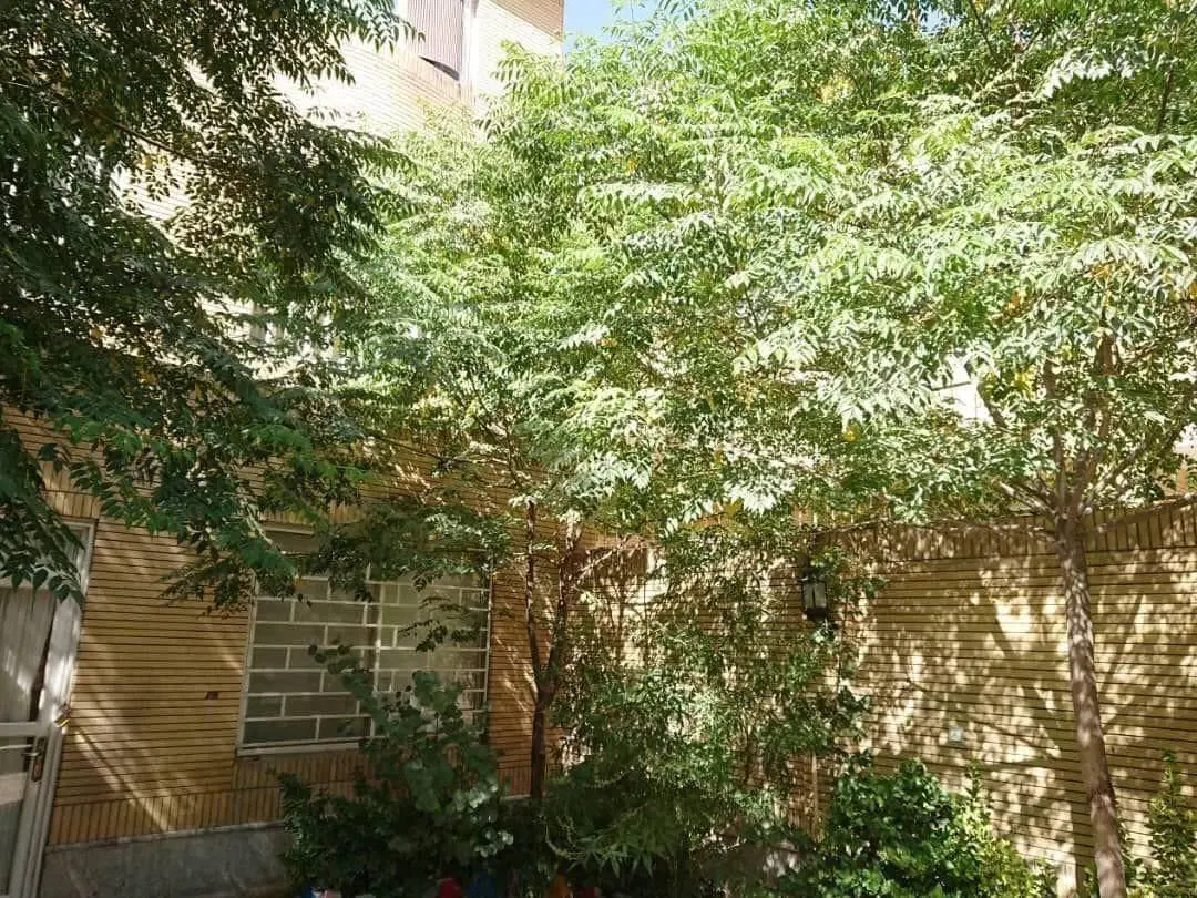 351متر برکپور