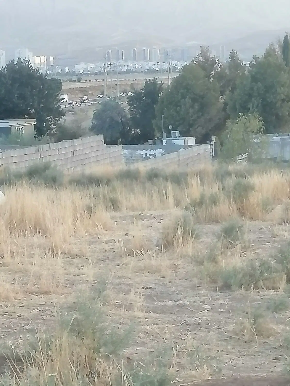 فروش زمین جاده صدرا