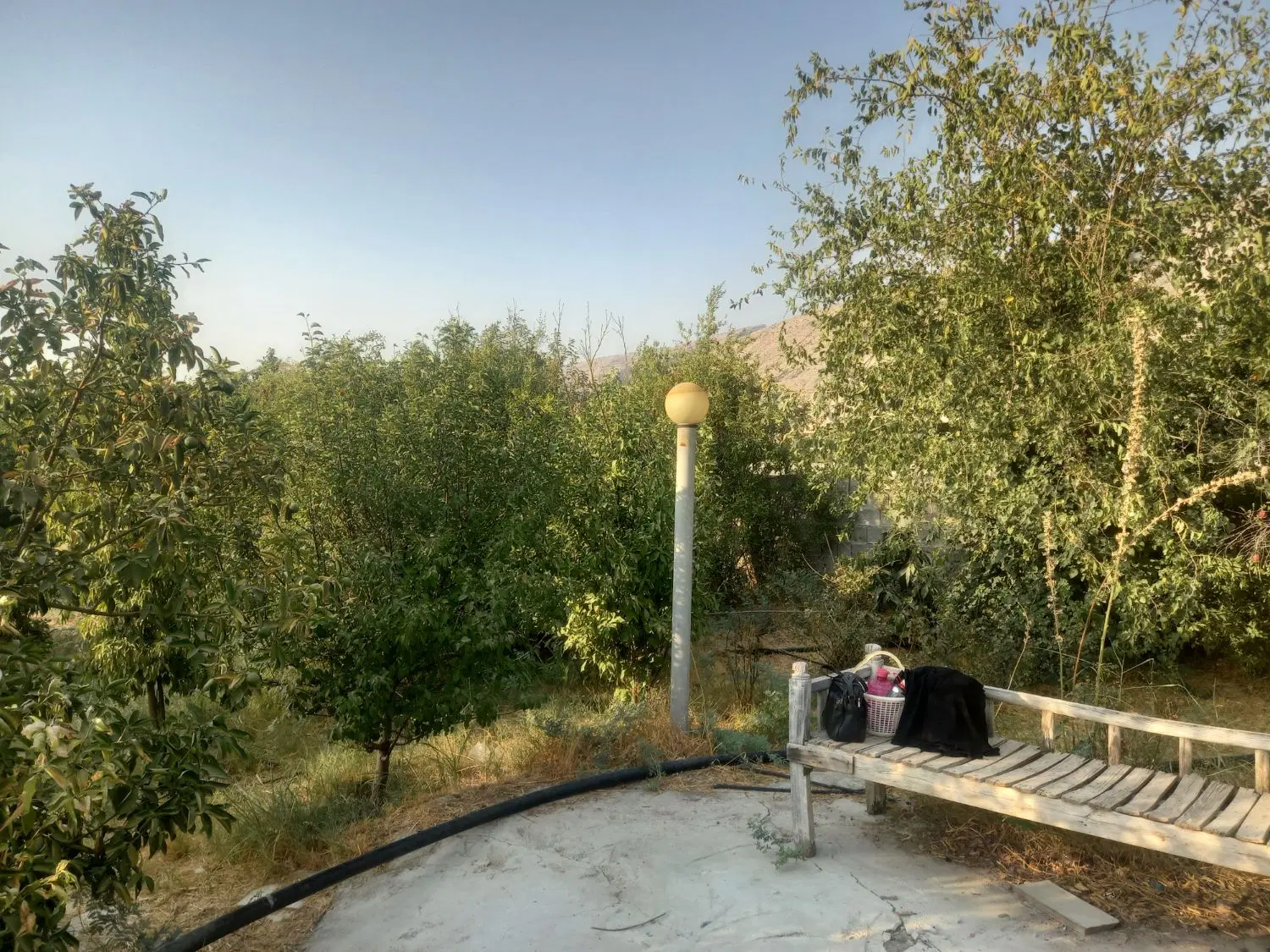 باغچه ۸۰۰ متری در حاجی‌آباد موزی