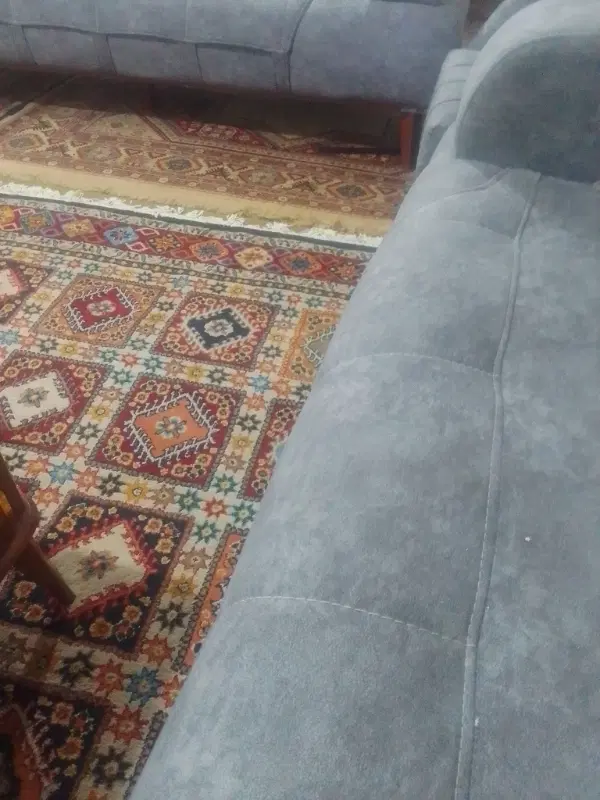 هم خانه