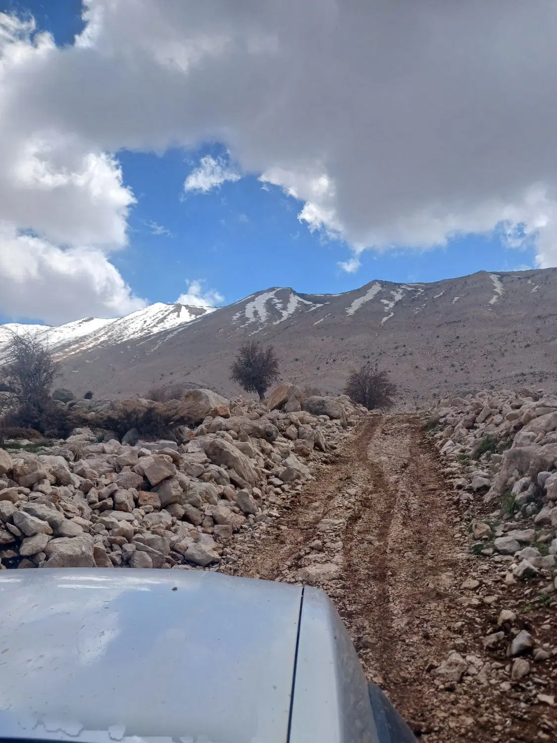 زمین در به حیاط توحیدیان ۲