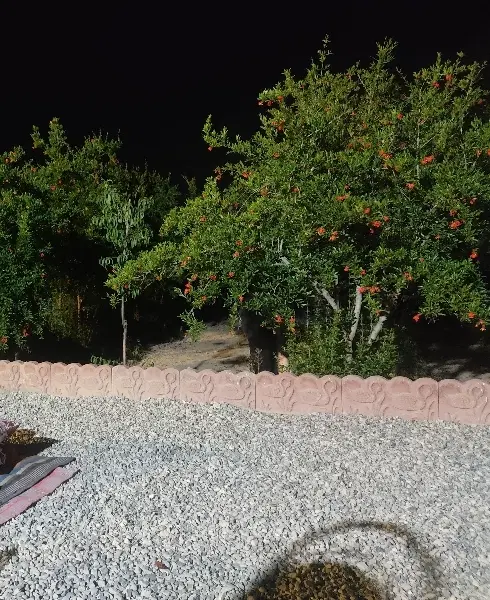 باغچه یوسف رضا