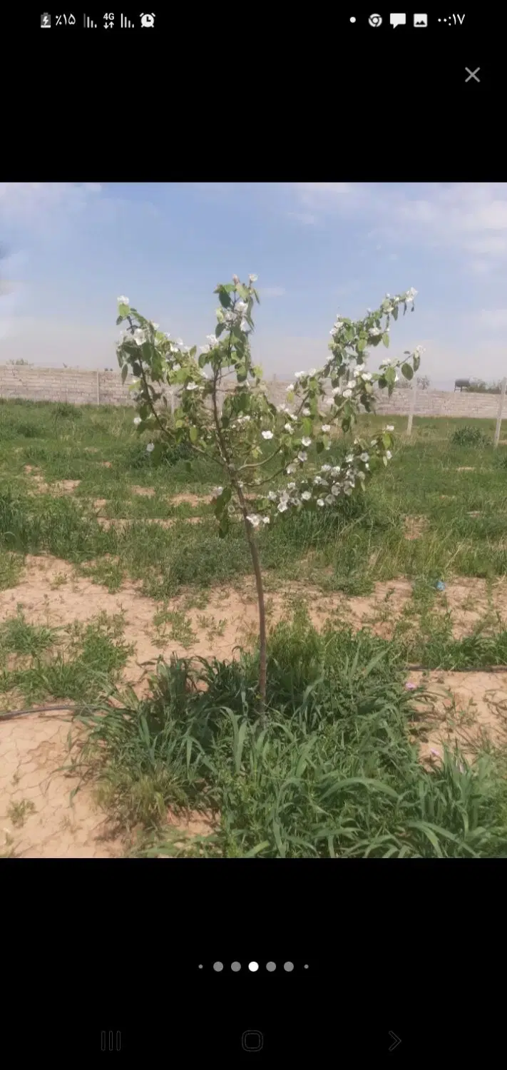 فروش زمین  در قزوین