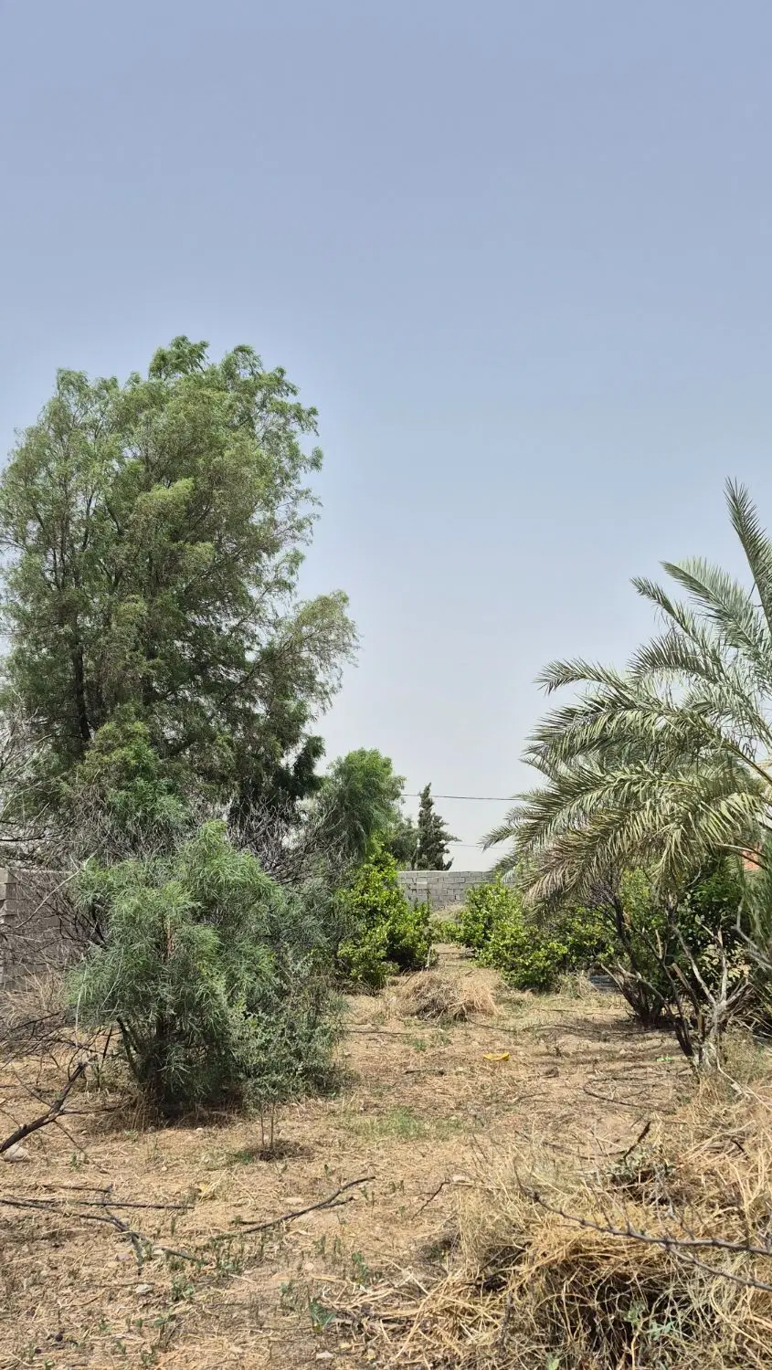 فروش زمین در مجتمع مسکونی بهارستان