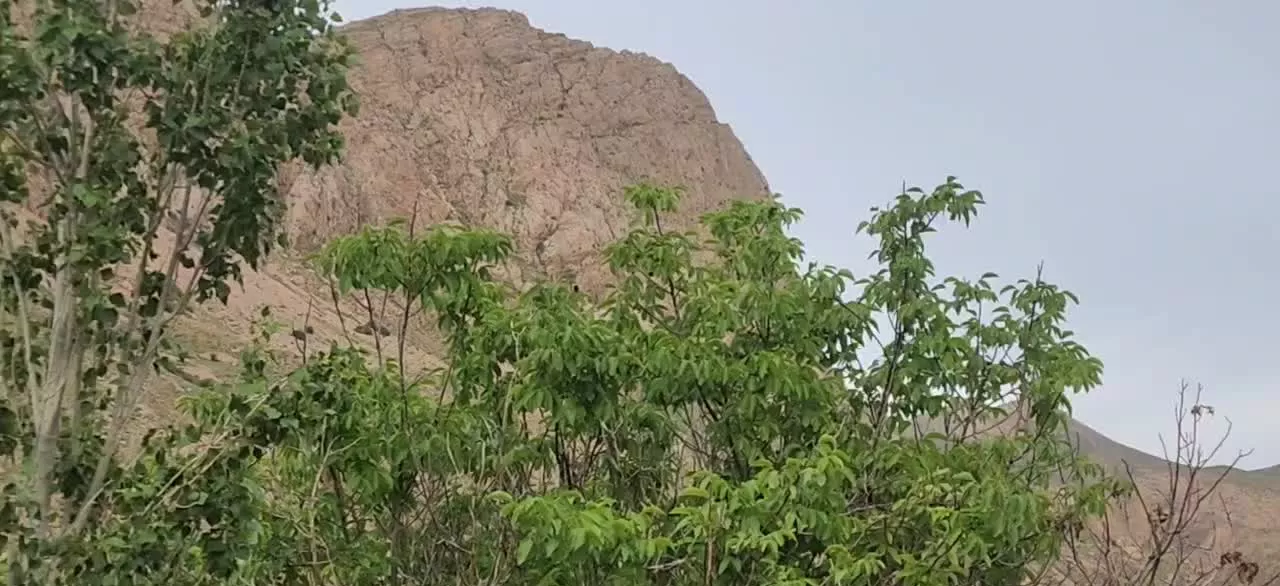 باغ