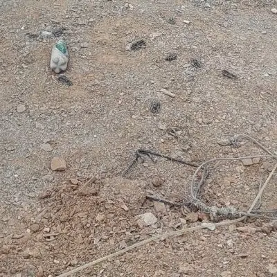 زمین دادگستری،مرزبانی،