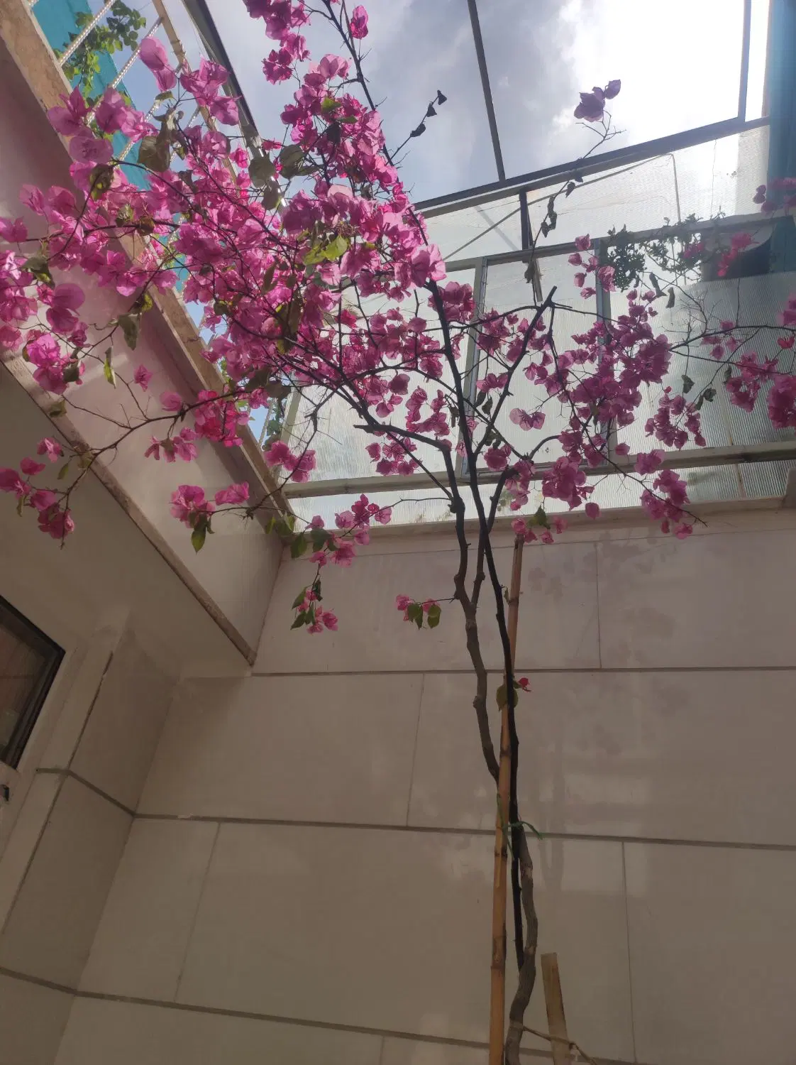 اجاره قائم مشاور مهندس خسروابادی