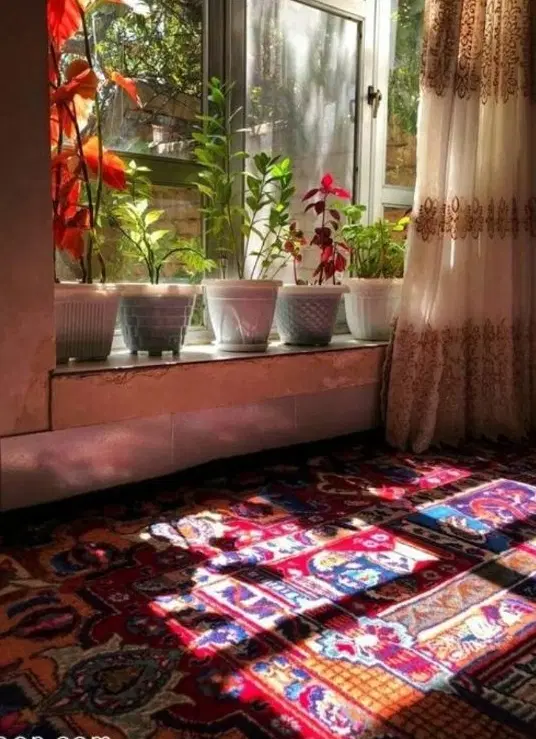 اجاره پیلوت۶۰ متری