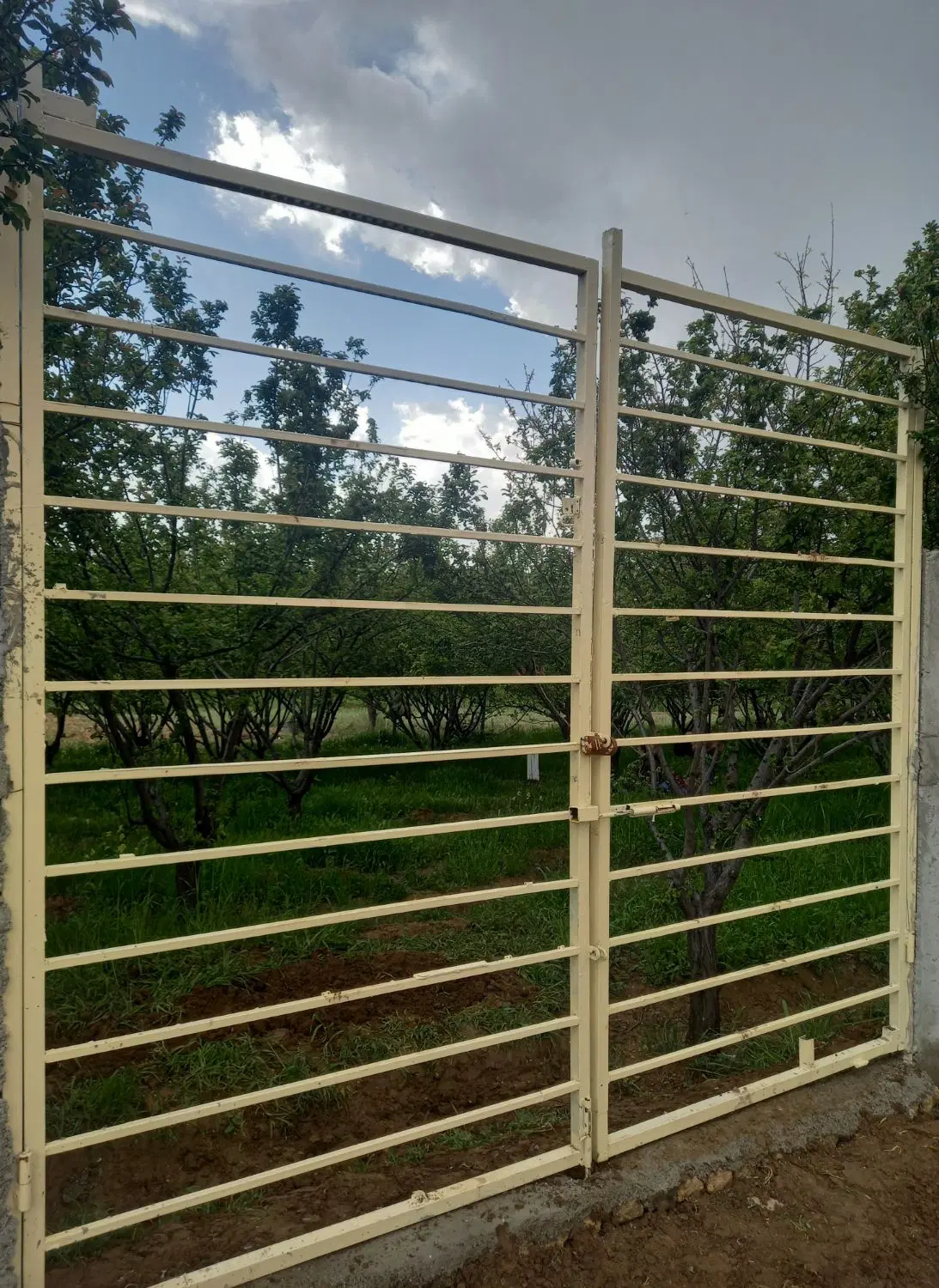 باغ گوجه سبز