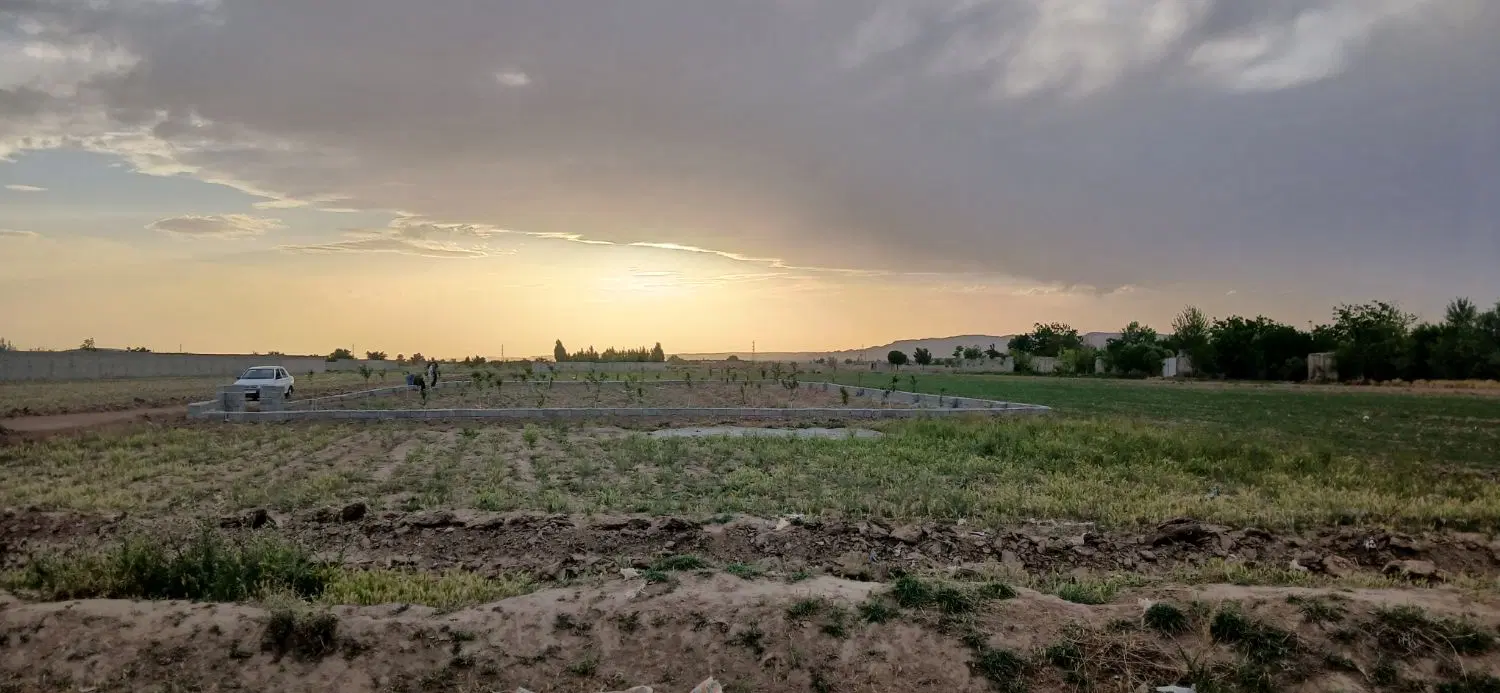 زمین کشاورزی