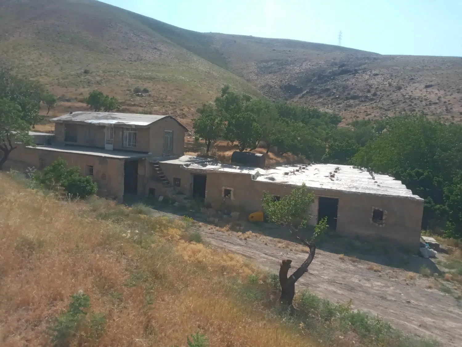 اجاره ی دامداری