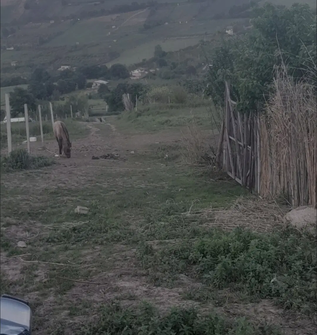 گلند تاریکی زمین