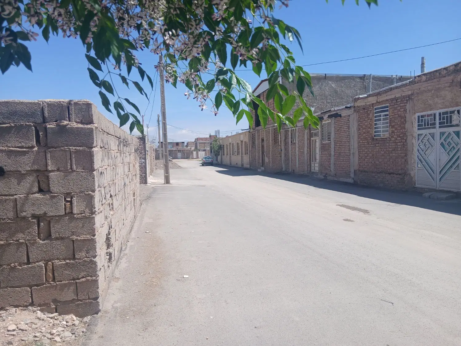 زمین فروشی خیابان علی اصغر ۲۲۵ متری