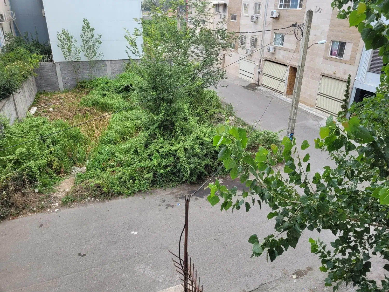 فروش چند پلاک زمین در کوی اساتید گلسار