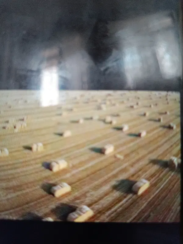 کاه