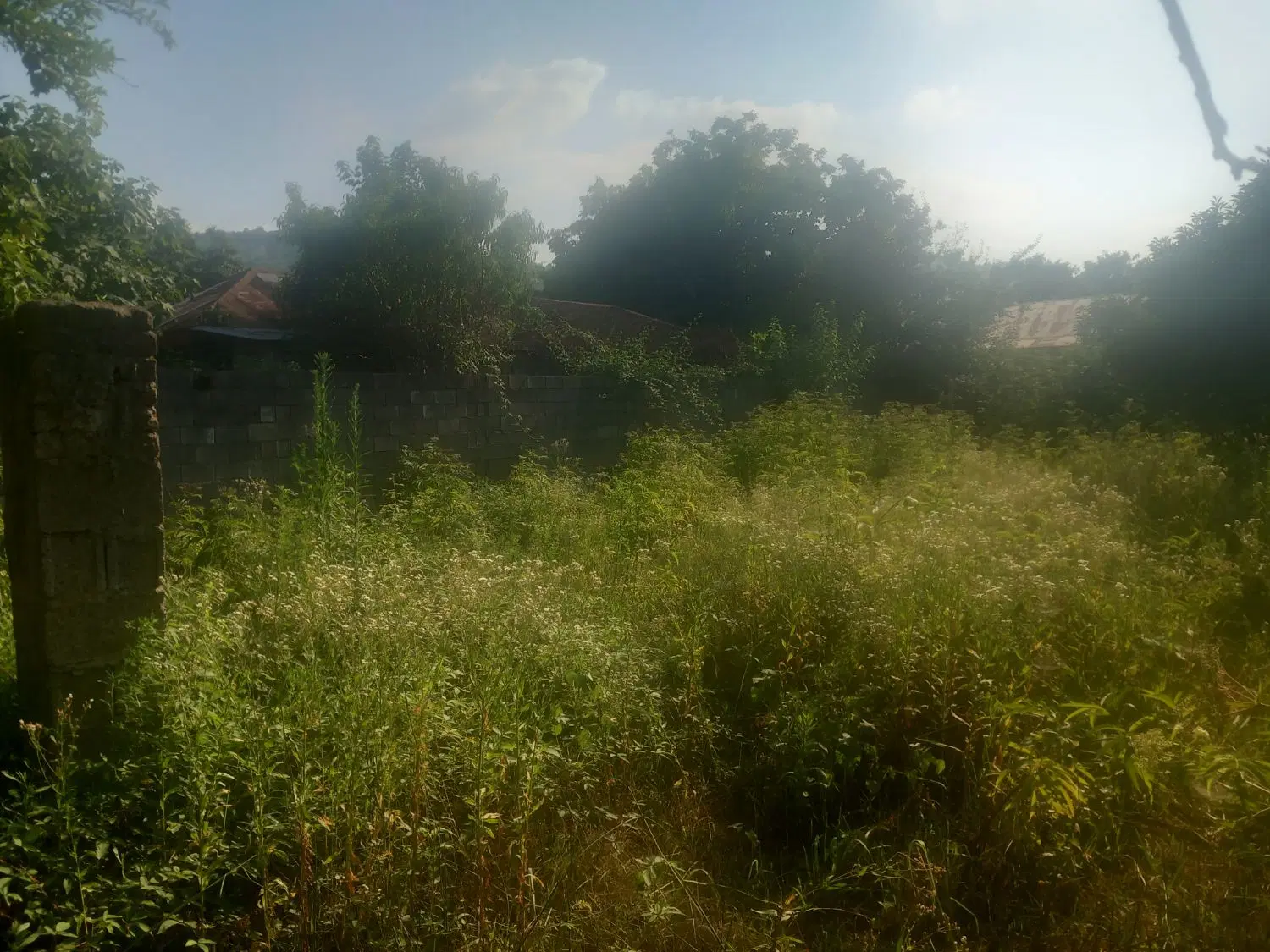 زمین در وشمه سرا