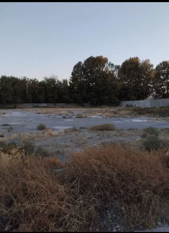 سرمایه گذاری،قیمت عالی