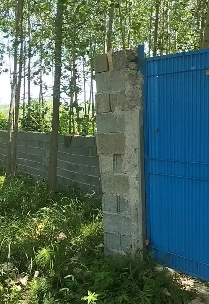 زمین برای ساخت ویلای لاکچری