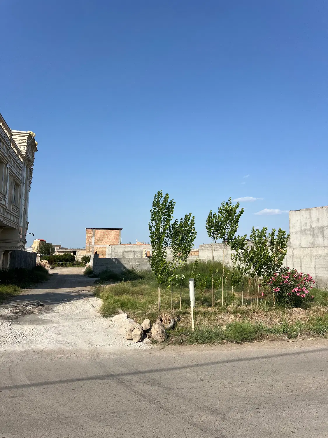 زمین مسکونی بیوک خانلو
