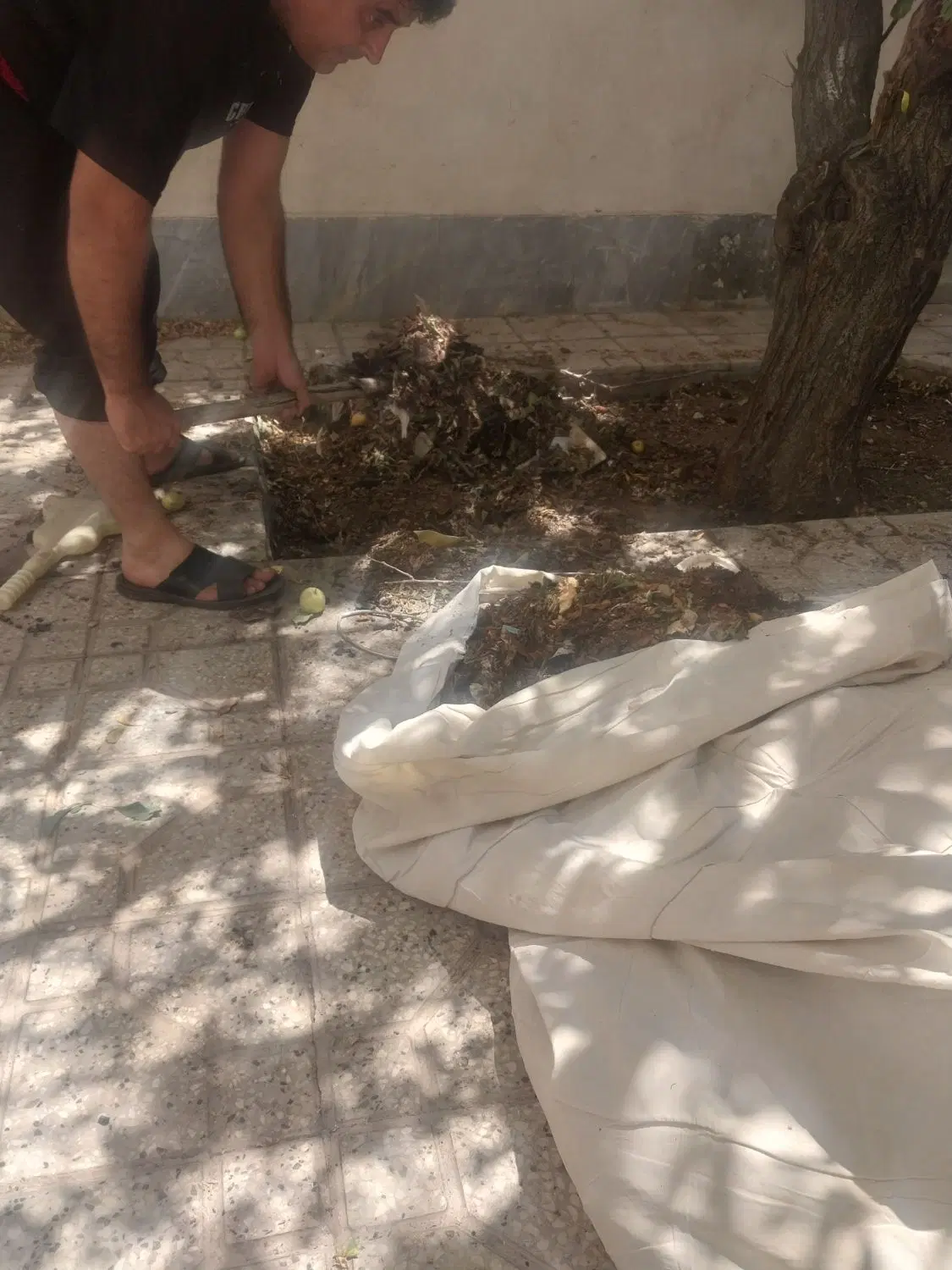 اجاره خانه ویلایی درکوسه کلاله