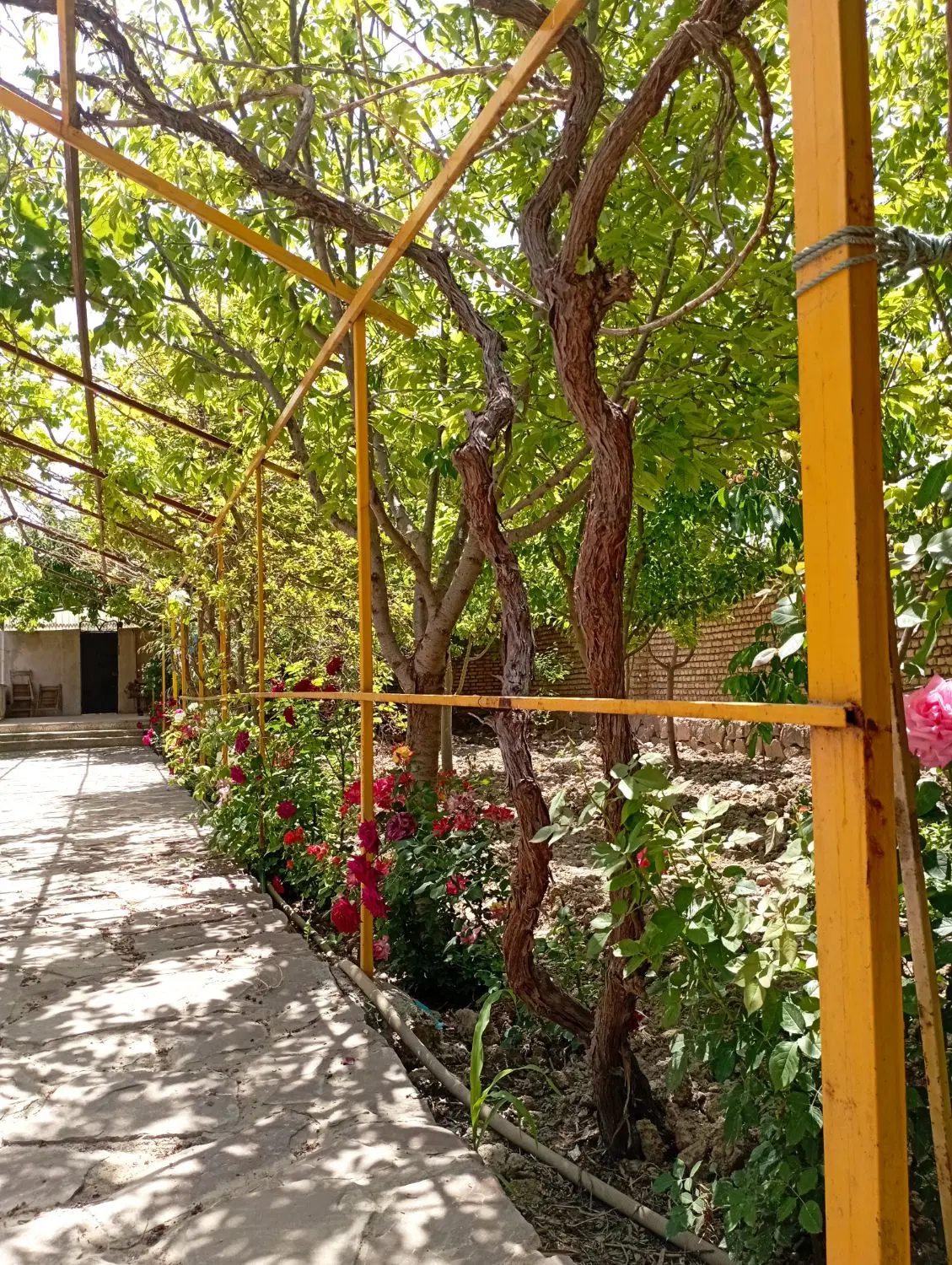 باغ ویلا.