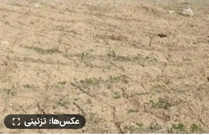 شهرک سی بی جی از زمین‌های شهرداری ۲نبش