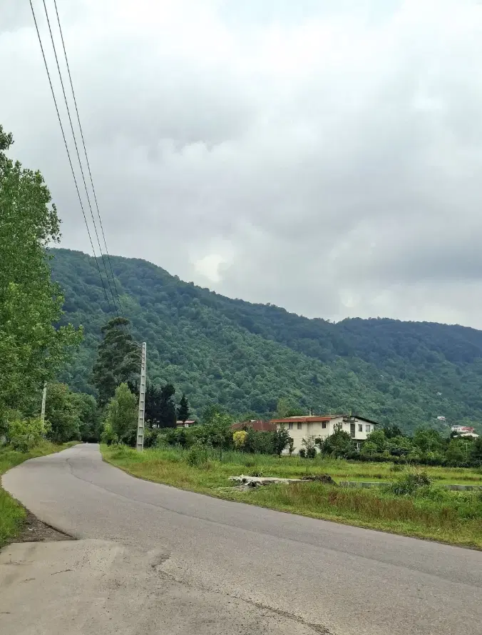 320متر با بر 13شمالی جنوبی رو به جنگل-سندتکبرگ