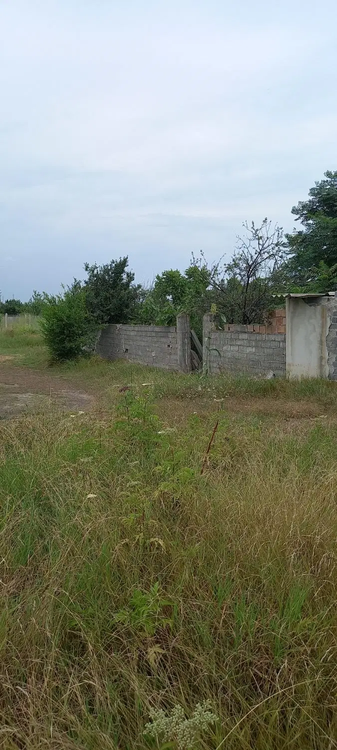 زمین درساری قراردارد