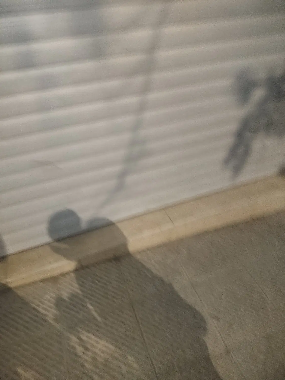 مغازه بهترین لوکیشن ولیعصر