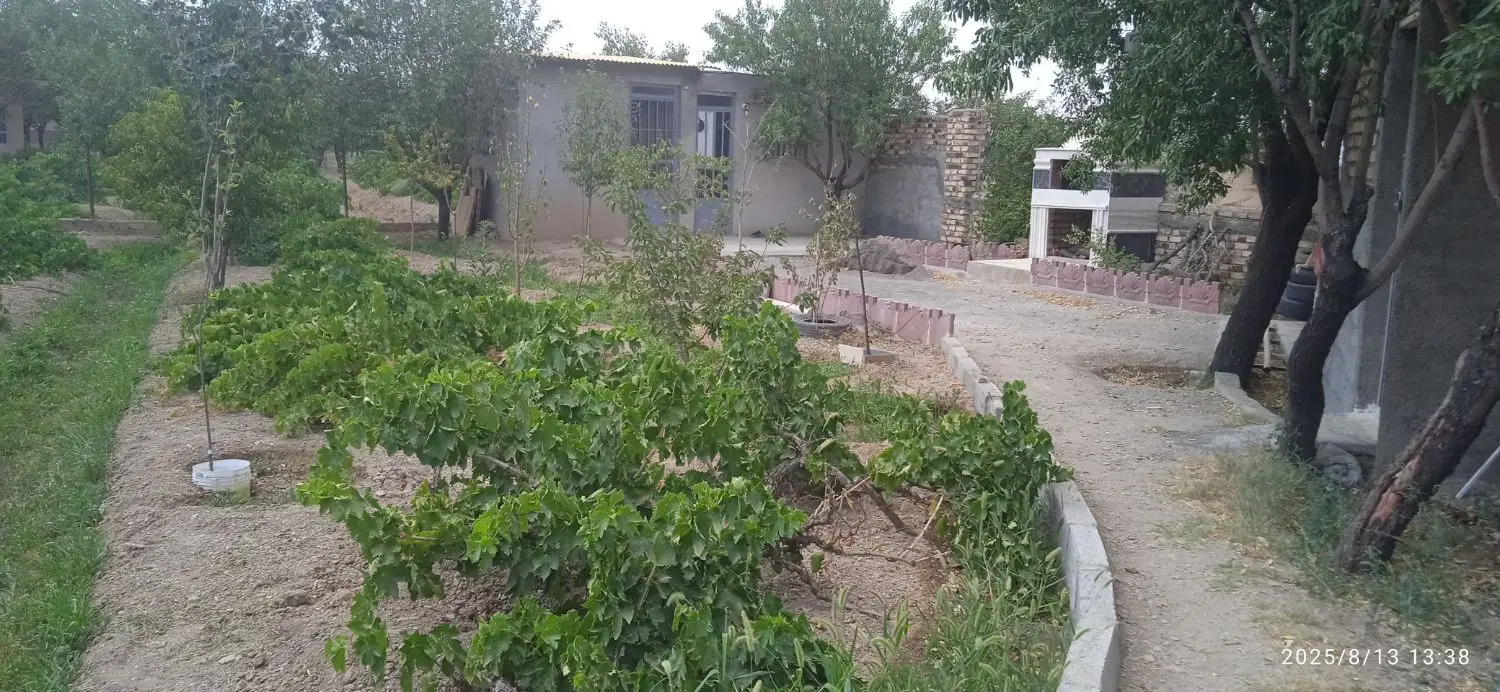 فروش باغ به مساحت حدود هزار متربه فروش می‌رسد