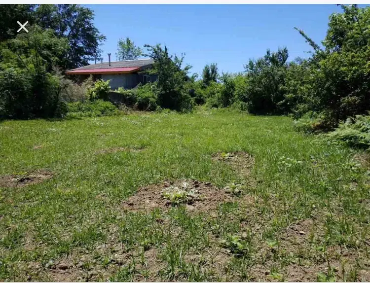 زمین روستای بهدان بهترین آب و هوا