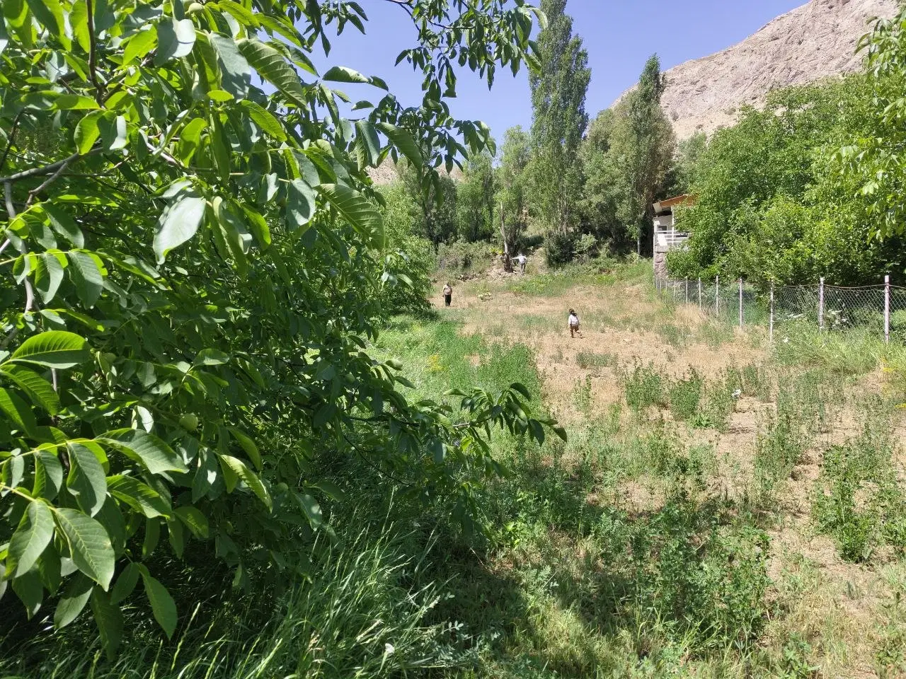 زمین تنگه واشی