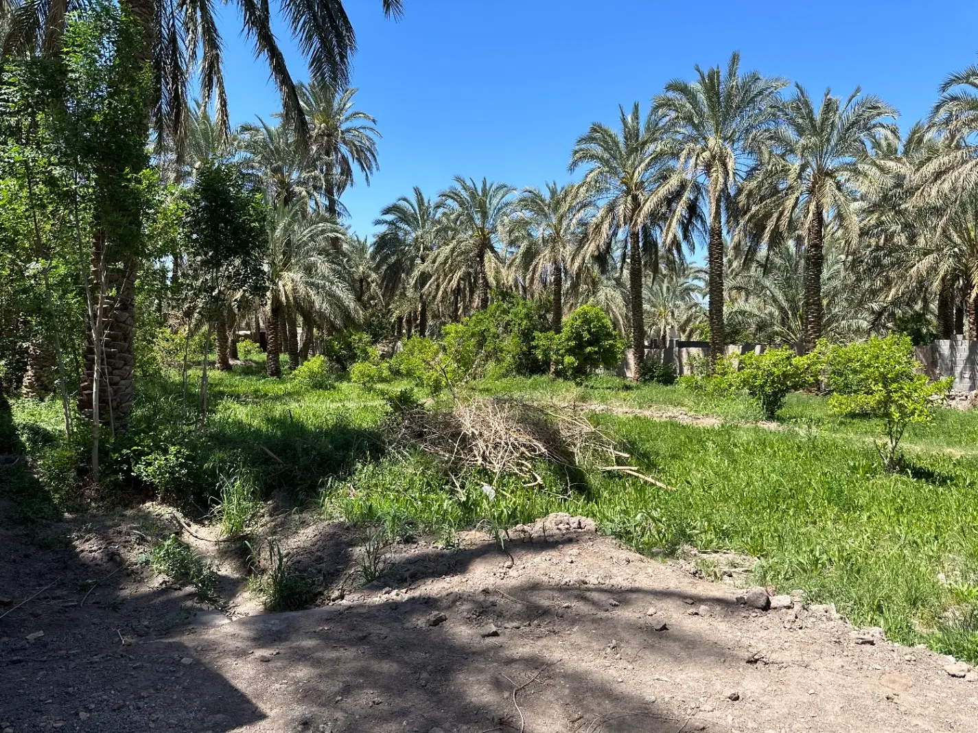 باغ ویلا مسکونی ۲۱۵۰ متر دارای دو پروانه ساخت